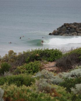 Surfing