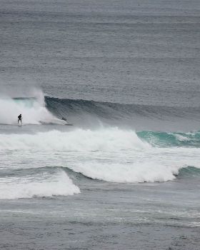 Surfing