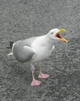 H6yMi6fUB 1JR964xxG8RxsYArlNNn1lR5PWutchKM43vwZOGig1kDFTEbGWefFQ1pgh4vDtYYhA