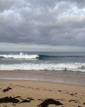 Surfing