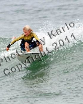 sf1202260136w