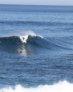 2012 181