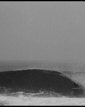 manly this morning