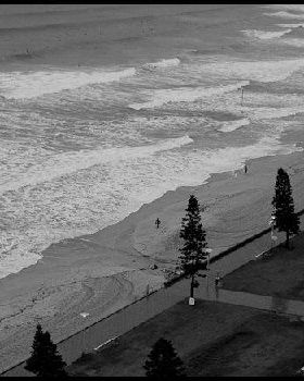 manly this morning1