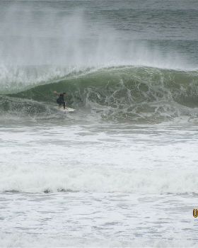 Surfing