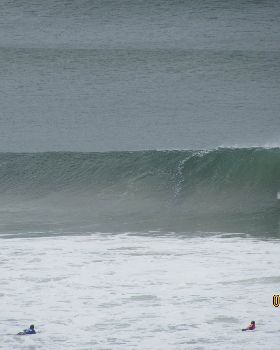 Surfing