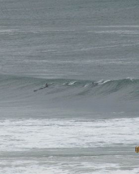 Surfing