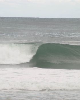 Surfing