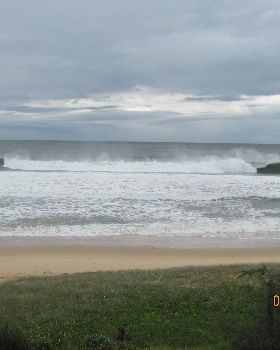 Surfing