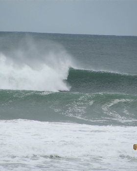 Surfing