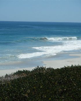 Surfing