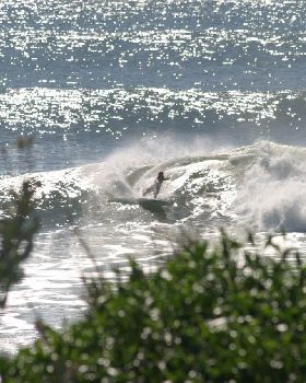 Surfing