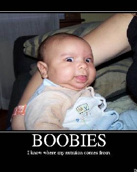 BOOBIES