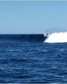 Surfing
