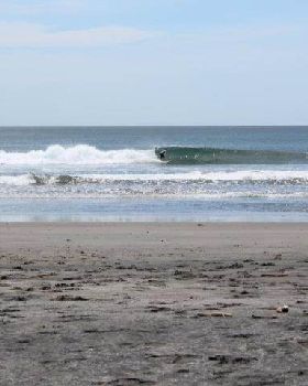 Surfing