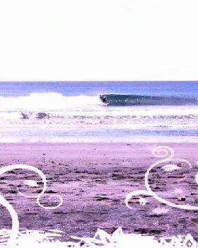 Surfing