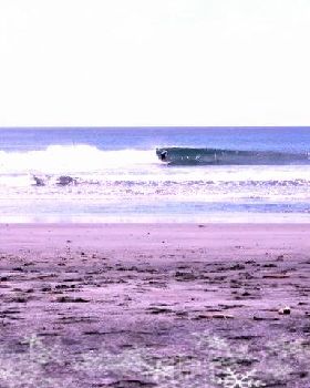 Surfing