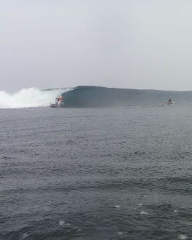 P1000537