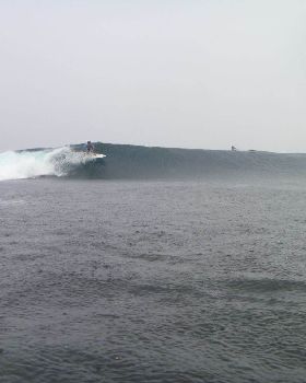 P1000541