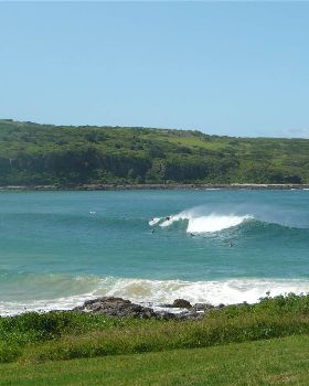 surf
