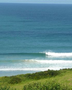 surf