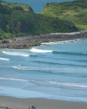 surf