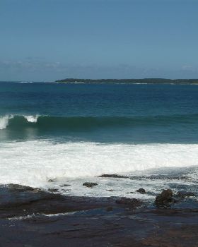surf