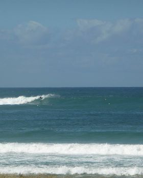 surf