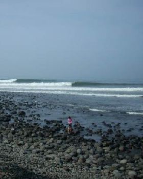 Surfing