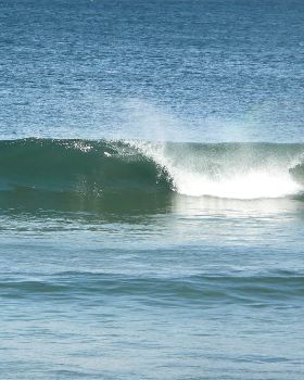 Surfing