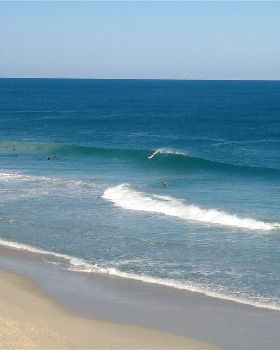 Surfing