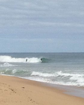 Surfing