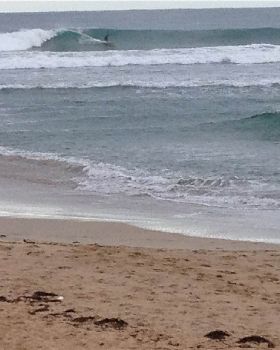 Surfing