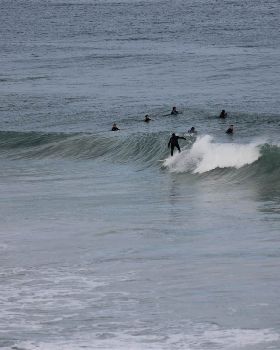 Surfing
