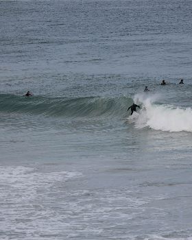 Surfing