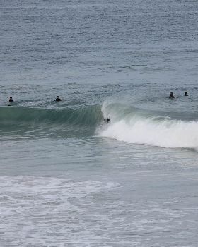 Surfing