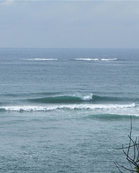 Surfing