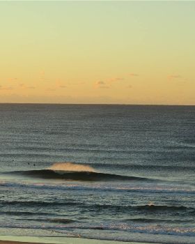 Surfing