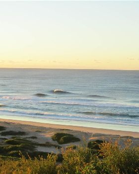 Surfing