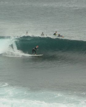 surf
