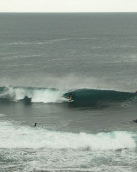 surf