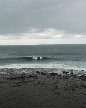 surf