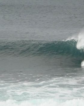 surf