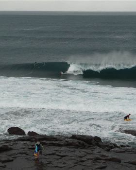 surf