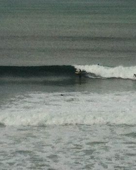 Surfing