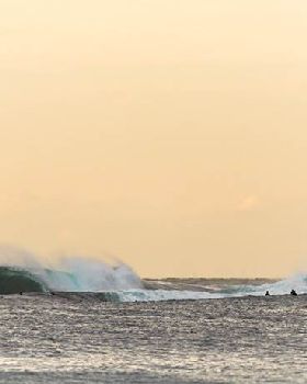 saltmotion img 9762 2012 05 07
