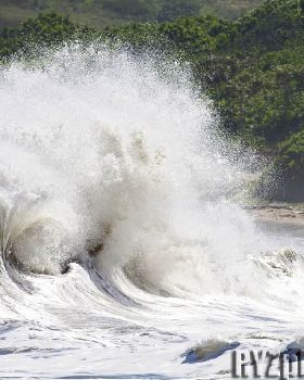Surfing