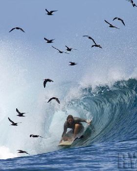 Surfing