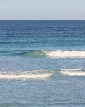 Surfing