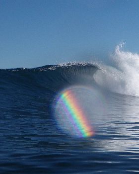 Surfing